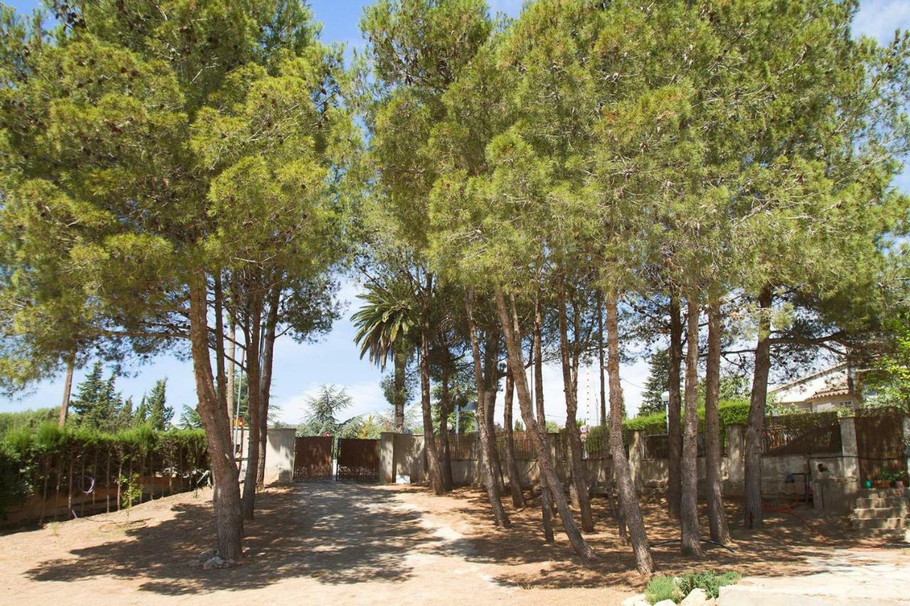 Menta House Preciosa Eco-Casa Con Gran Jardin Y Barbacoa Villa Alcover Exterior photo